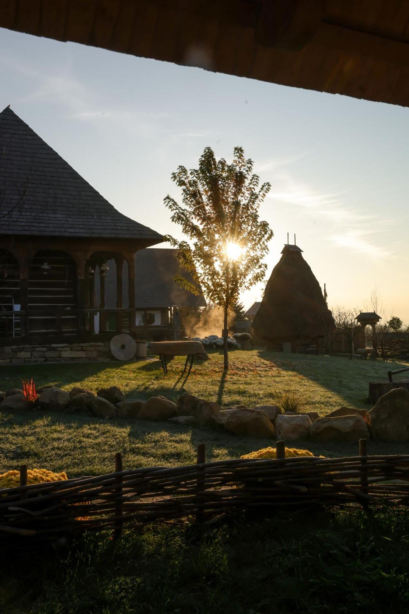 Echoes Of Vladicu Chalet