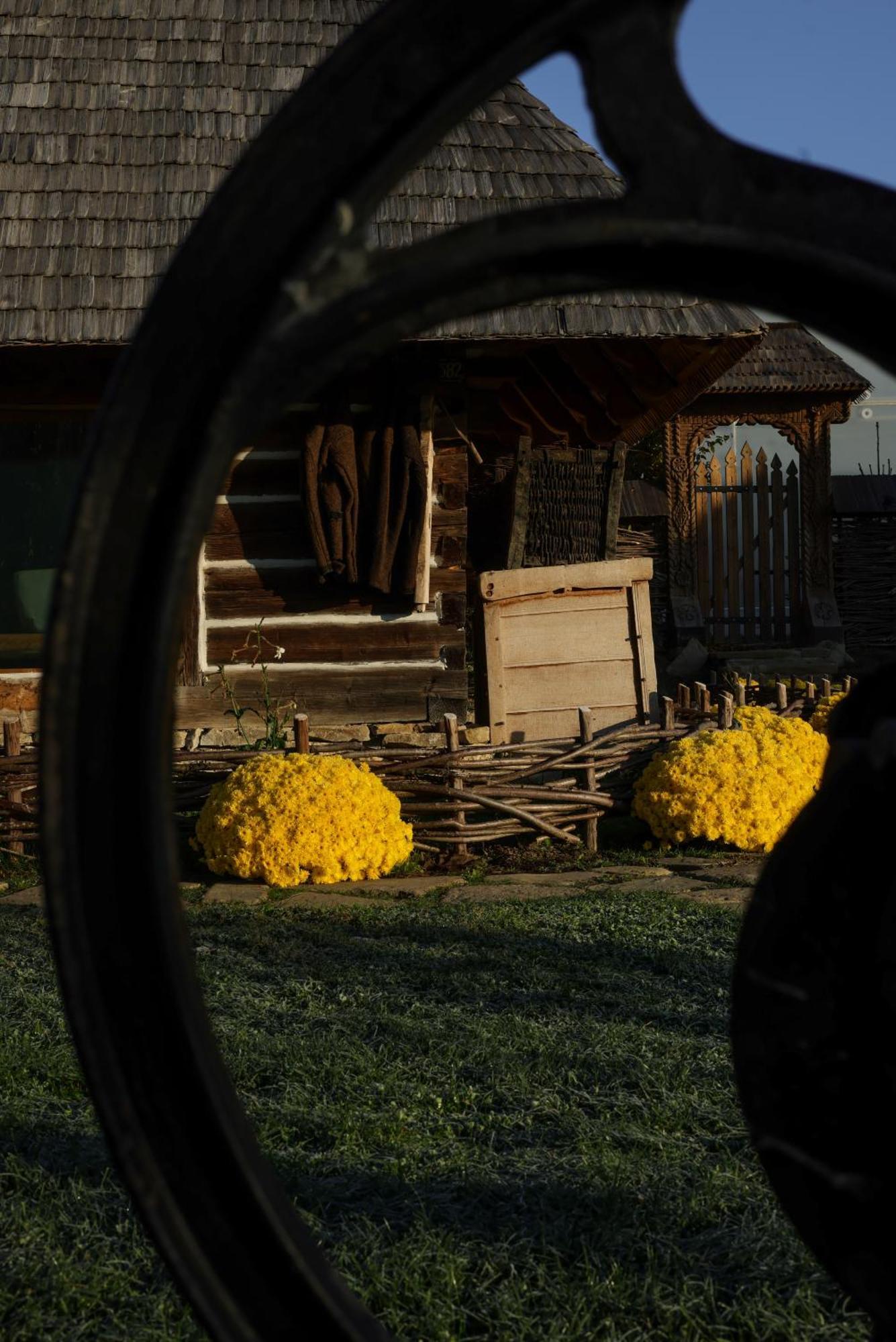 Echoes Of Vladicu Chalet *